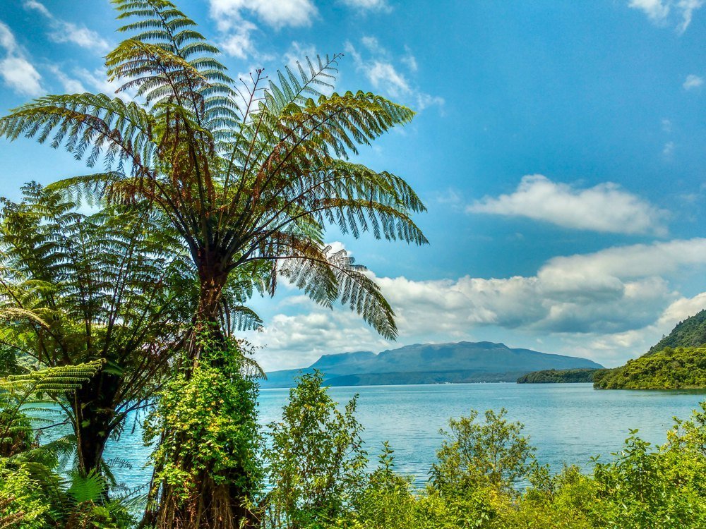 Zomerse natuur in Nieuw-Zeeland tijdens het ideale reisseizoen