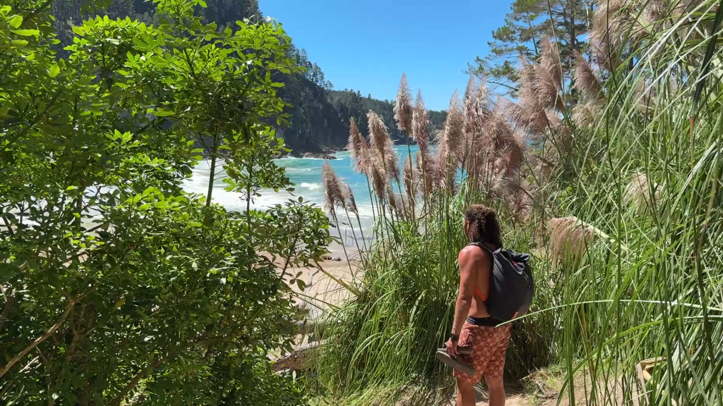 Reis in Nieuw-Zeeland, beste plekken noordereiland, zuidereiland. 